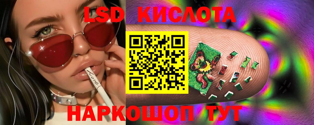 Новозыбков  Лсд 25 экстази ecstasy  Вход с VPN  ЛСД экстази  Лсд 25 экстази ecstasy 