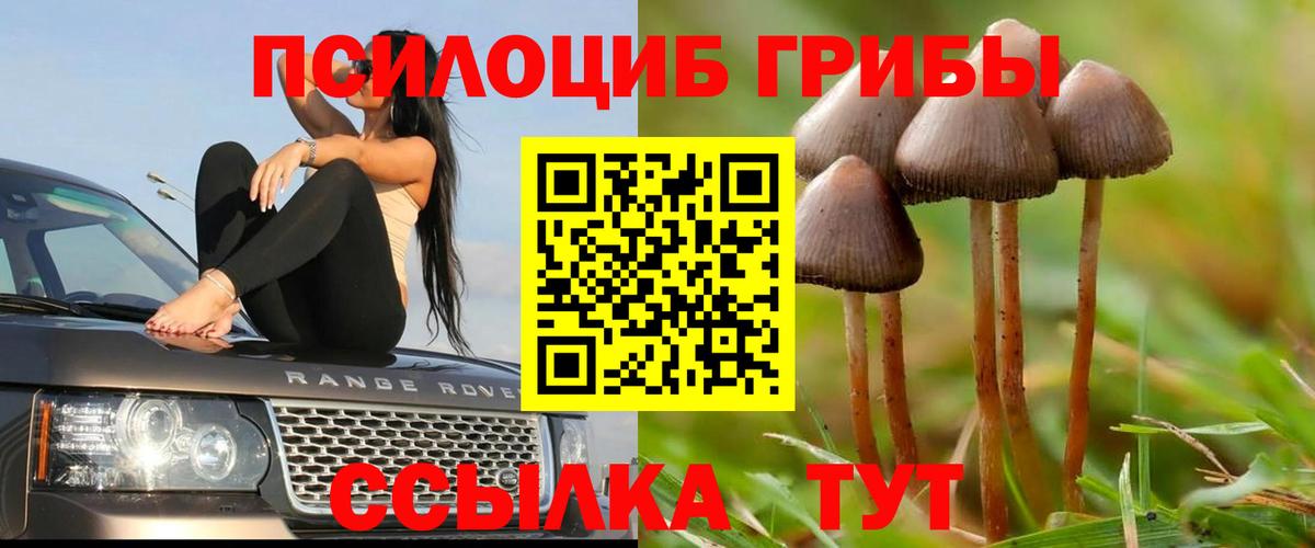 Новозыбков  МЕФ  Канабис  Кокаин  Альфа ПВП СК кристаллы  MDMA  Экстази  Вход с VPN  ГАШ  МЕФ кристаллы 