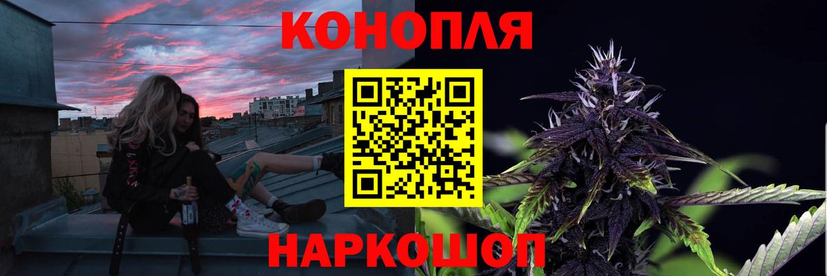 Новозыбков  Бошки марихуана White Widow  Вход с VPN  МАРИХУАНА гибрид  Бошки Шишки THC 21% 
